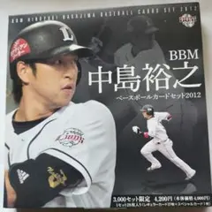 中島宏之　150HR記念　フォトパネル 中島宏之 150HR記念 フォトパネル