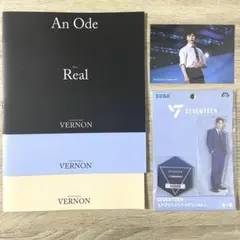 SEVENTEEN バーノン フォトブック エキシビション アクスタ