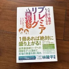 프리미어리그 열정
