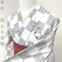 MIです❣️ 【着物と帯 時流】ヒ26243s◆洗える着物 単衣◆ MI様専用です❣️ 【着物と帯 時流】ヒ26243s◇洗える着物 単衣
