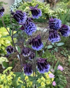 よっちゃん様 リクエスト 2点 まとめ商品