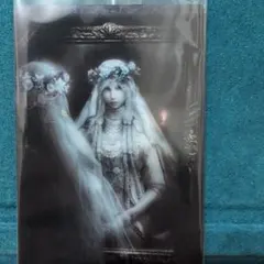 エルデンリングウエハース ERT-25 復讐者