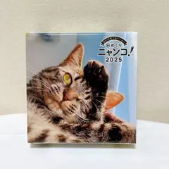 Item thumbnail for item 1911f3b9-0294-4f8c-b767-c7cbb353ed1c