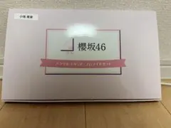 櫻坂46 アクリルスタンド・プロマイドセット