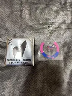JRA 2025年G1レース優勝馬アクリルキーホルダー