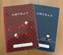 Item thumbnail for item 23ac273b-8e56-48cc-850e-397c3ab6d8ad