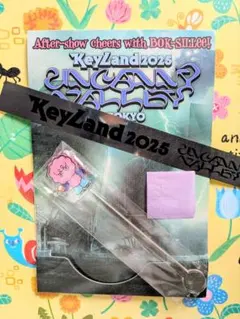 shinee key アイドル