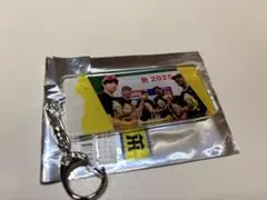 阪神タイガース シークレット 優勝アクリルキーホルダー