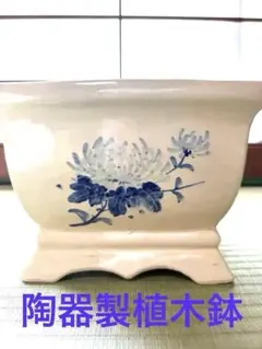 2025年最新】植木鉢 染付の人気アイテム - メルカリ