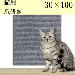 Item thumbnail for item c8e9cc67-61cd-4672-8923-8cd0efacd074