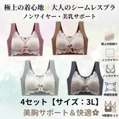 シームレスブラ　ノンワイヤー　ナイトブラ　3L 美胸　楽ブラ　伸縮性　着痩せ