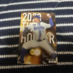 東克樹 投手2冠カード 横浜DeNAベイスターズ 2024 プロ野球チップス