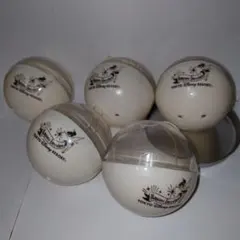 東京ディズニーリゾート カプセルトイ 5個セット