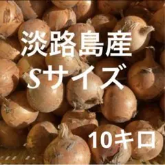 淡路島産玉ねぎ　Sサイズ10キロのサムネイル