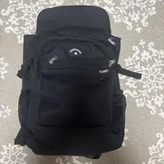 Item thumbnail for item 74d23cb7-d02b-4d82-9cd2-597e382841d0