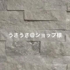 うさうさ＠ショップ様専用 お支払い期限1/24日22時迄