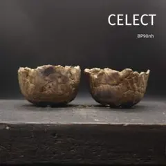 BP90nh CELECTオリジナル手びねり BALL POT 2点セット 黒鰐