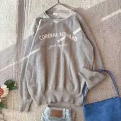 ハイゲージニット(M)セーター/オーバーサイズ/グレー/プルオーバー