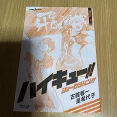 ハイキュー!! ショーセツバン！！　烏野高校・春
