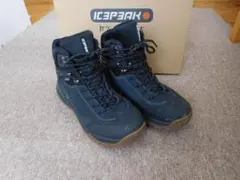 Item thumbnail for item 3a57acbd-5f18-42b0-b680-7caa6c095265