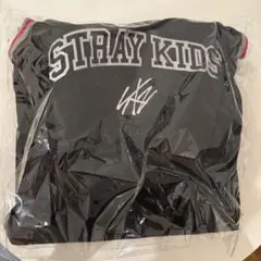 straykids アプグレ特典　dominATE