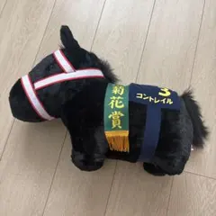 DMMくじ コントレイル 超BIGぬいぐるみ 1等 - メルカリ
