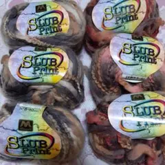 【値下げ】マンセルスラブプリン ひろ様専用