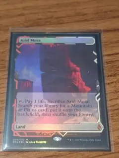 2025年最新】乾燥台地 foilの人気アイテム - メルカリ