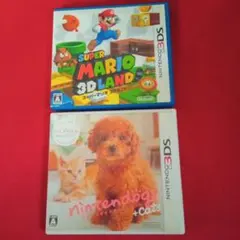 ニンテンドー　3DS　ケースのみ