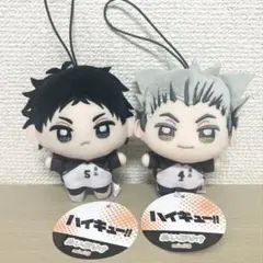 d*4様 ハイキュー ぬいぷりけ mini 3 木兎光太郎 赤葦京治