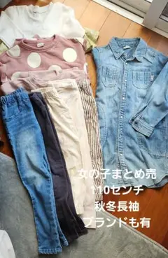 追加しました❁古着❁女の子まとめ売 全て110センチ 計12枚 秋冬 長袖