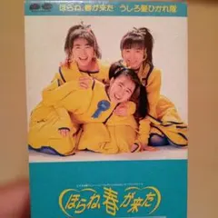 VHS うしろ髪ひかれ隊「ほらね、春が来た First Concert '88」 - メルカリ