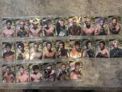 Item thumbnail for item 7bc4362b-2095-4558-aaf6-e13d1a4efcef