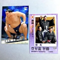 Item thumbnail for item 6f87b047-b7ca-4a2f-92f3-6be17e5613d4