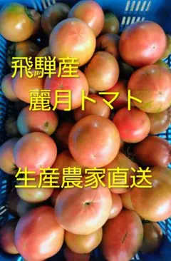 飛騨産 麗月トマト5キロ 生産農家直送 - メルカリ