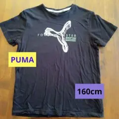 Item thumbnail for item 39324e52-4c25-421e-baed-bd26a5b6eee8