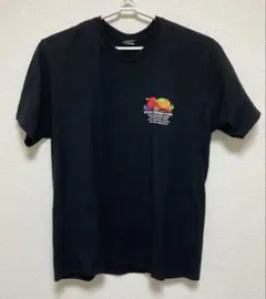 90s APOLLO 11号 Tシャツ XL アポロ 11号 企業T Hanes - メルカリ