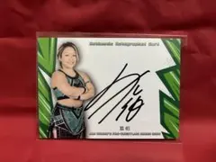 Item thumbnail for item 8fb63252-533e-4e1d-8c04-b04a75ae935a