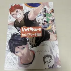 ハイキュー!! カメイアリーナ仙台 パンフレット