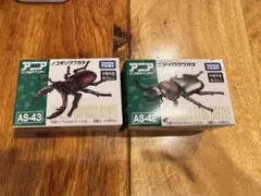 アニア ノコギリクワガタ ニジイロクワガタ 2種セット