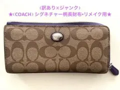 Item thumbnail for item f6708937-0aea-4365-9b7e-b751152e1b85