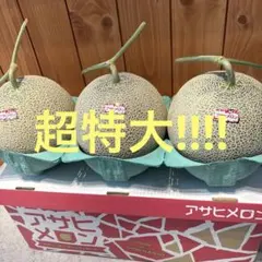 糖度19!! 「太陽の華」富良野メロン 2玉 品種：ティアラ - メルカリ
