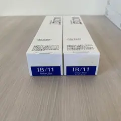 SHISEIDO IB/11 インディゴブルー 2本セットのサムネイル