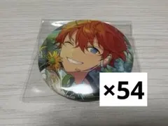 明星スバル フィーチャー2 缶バッジ 54点 idol - メルカリ