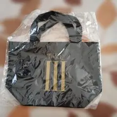 TWICE ミニトートバック