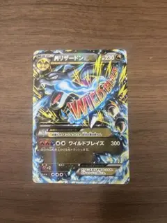 MリザードンEX RR XY2 ワイルドブレイズ 055/080 - メルカリ