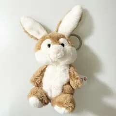 Item thumbnail for item 58c3f482-5fb6-4734-bf8e-e90a43d4a662