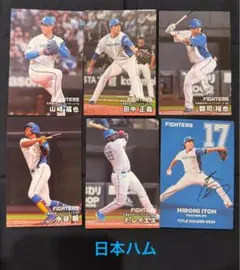 プロ野球チップス《北海道日本ハムファイターズ》⑧ 2025（6枚組）