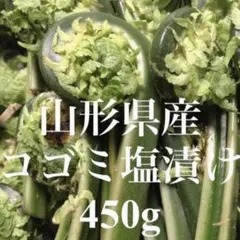 山形県産 コゴミ塩漬け 450g 塩蔵　こごみ　山菜　野菜のサムネイル