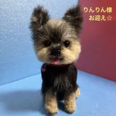 Item thumbnail for item c6ca47cc-0e62-4325-95fa-05b02dfe0b4e